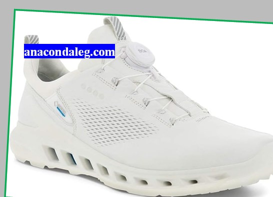 ecco men's biom cool pro golf shoes