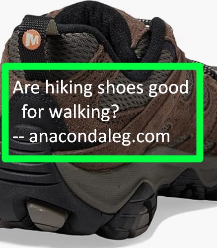 hiking shoes for walking
